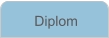 Diplom