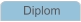 Diplom
